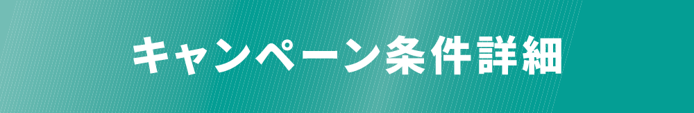 キャンペーン条件詳細
