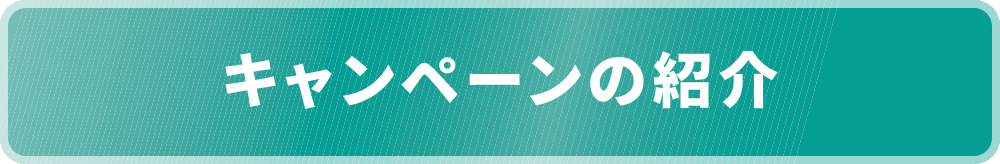 キャンペーンの紹介