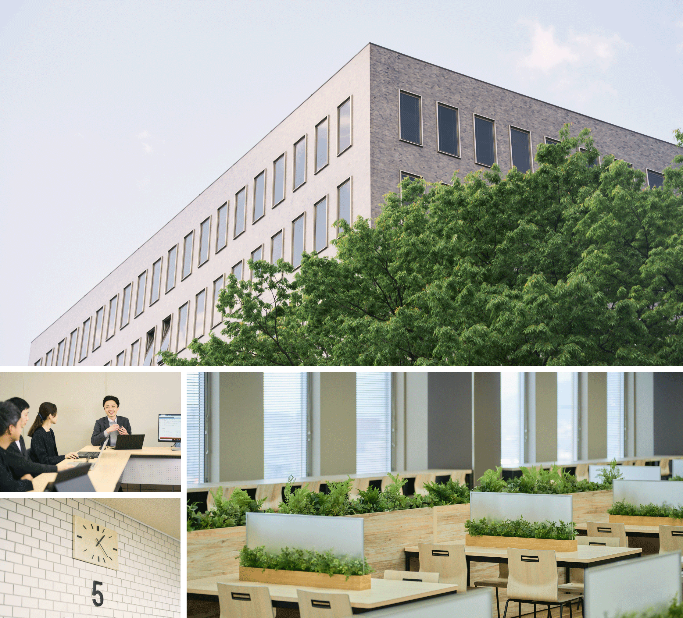 「本店」のイメージ